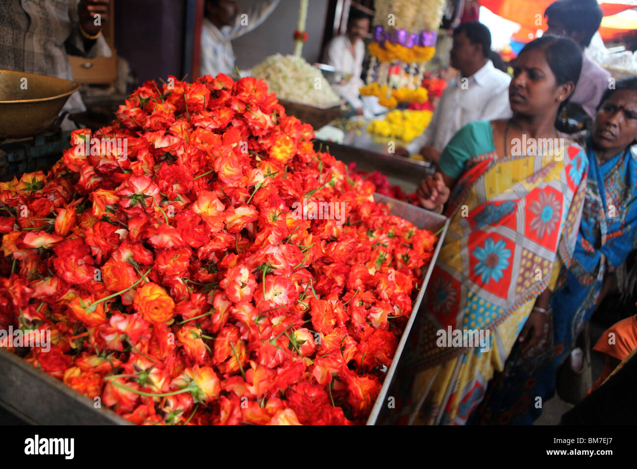 Fleurs rouge sur l'affichage de Devaraja market à Mysore, Karnataka, Inde. Banque D'Images