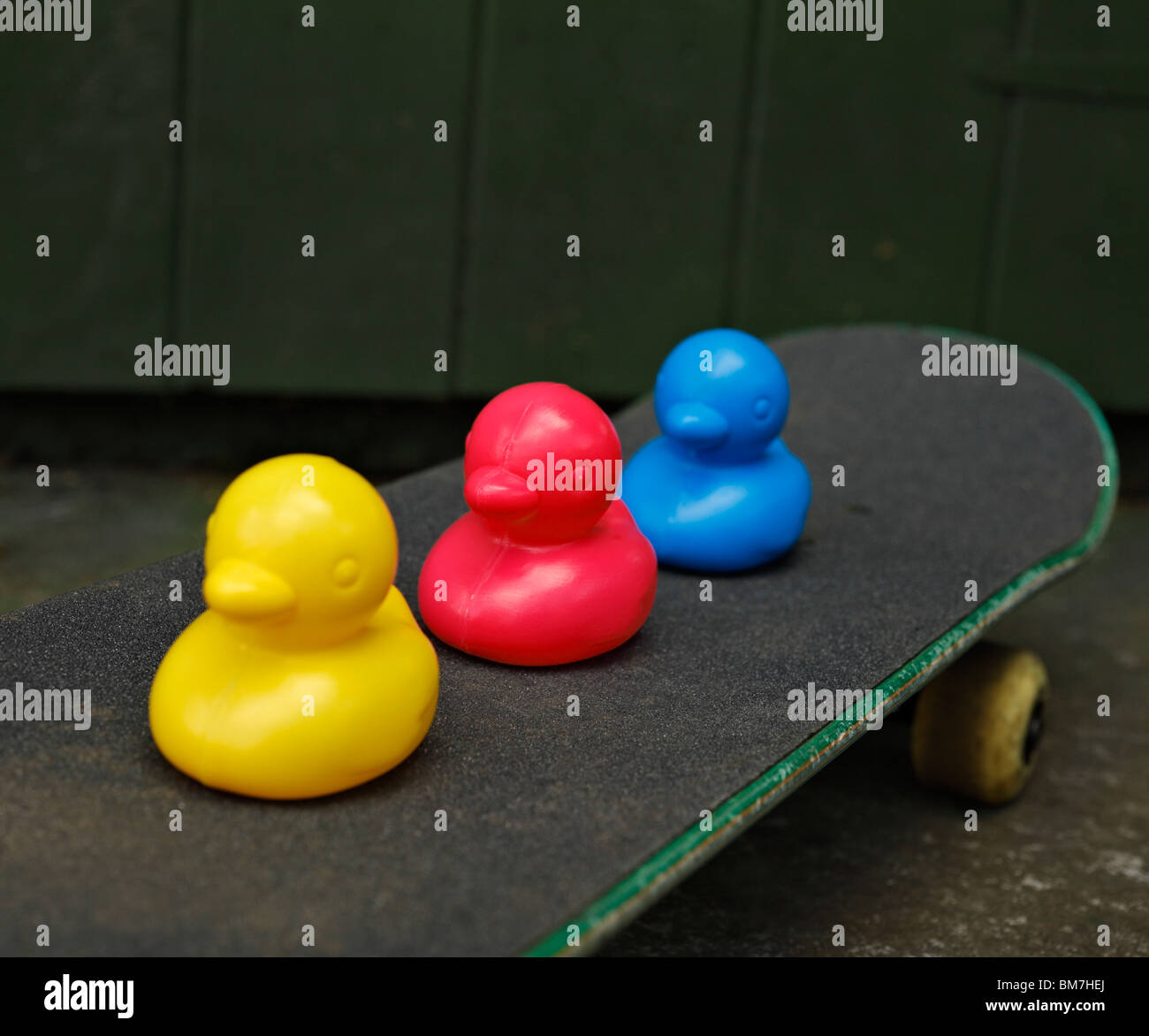 Canards jouets sur une planche à roulettes. Banque D'Images