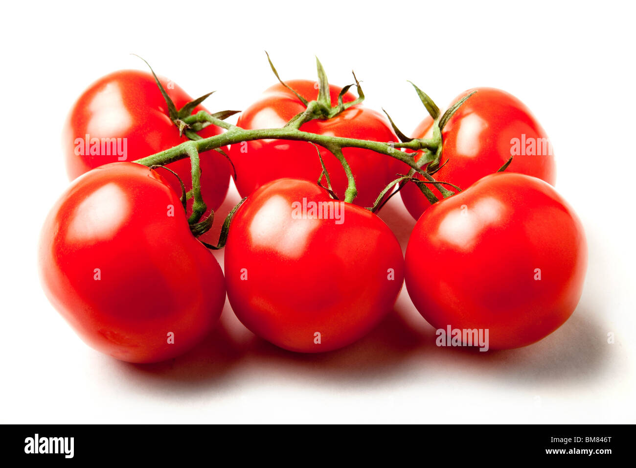 Les tomates sur la vigne Banque D'Images