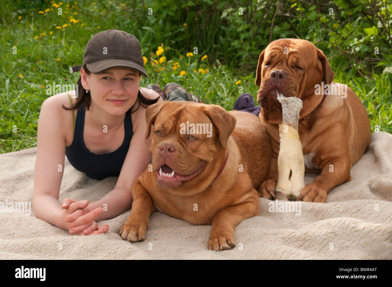 Pique-nique en plein air avec deux chiens Banque D'Images