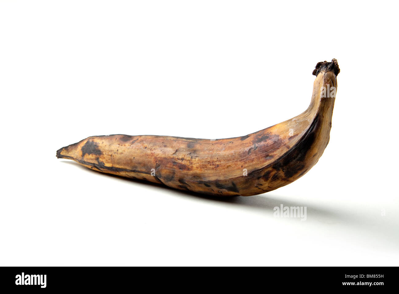 Plantain jaune Banque de photographies et d’images à haute résolution