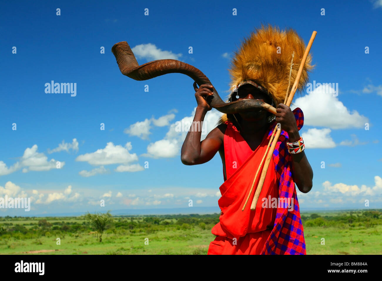 Guerrier Masai traditionnelles jouant la corne. L'Afrique. Au Kenya. Le Masai Mara Banque D'Images