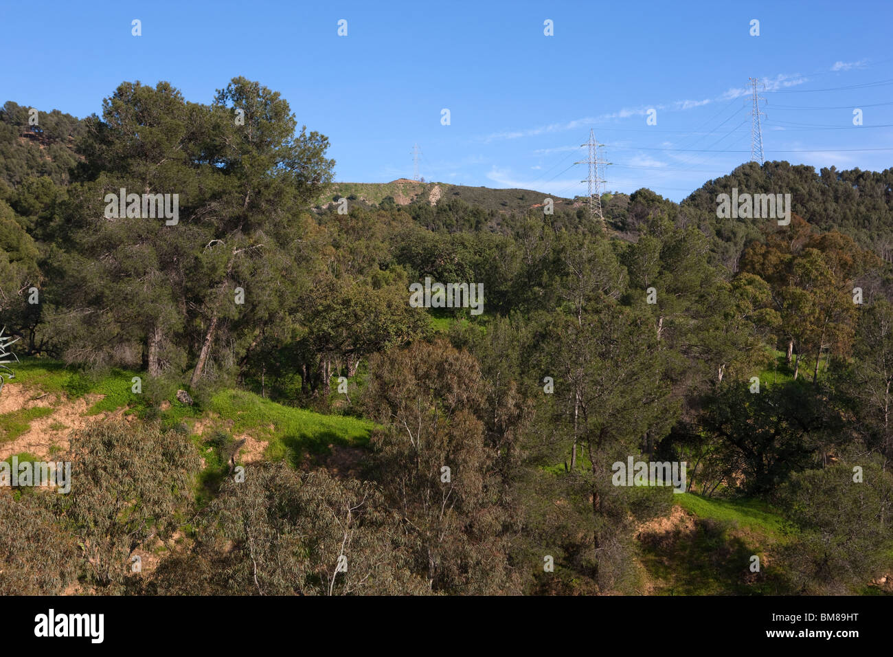 Parque Natural Montes de Malaga. L'Andalousie. L'Espagne. Banque D'Images