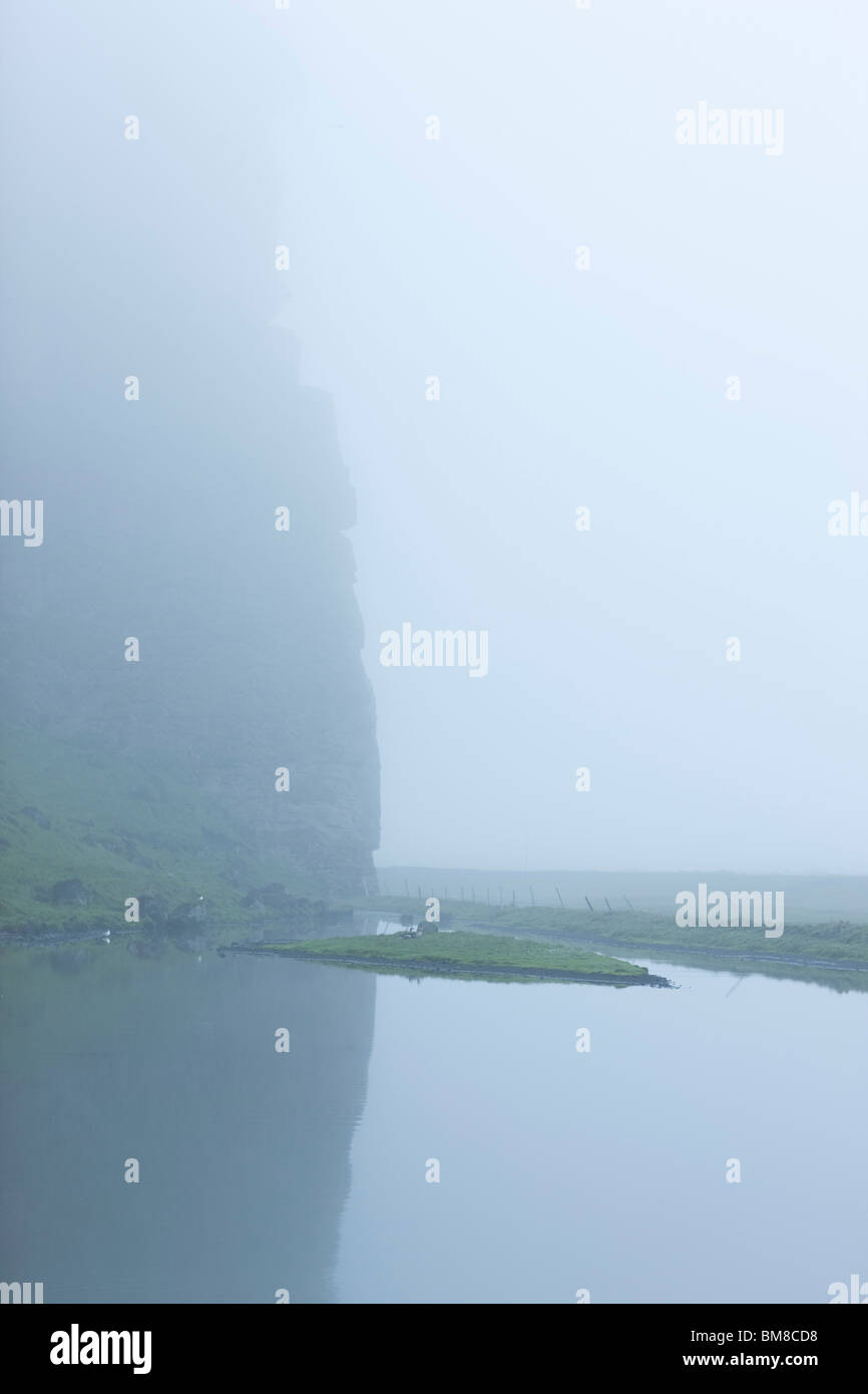 Les oiseaux dans le brouillard au petit étang à Skoganupur, Islande Banque D'Images