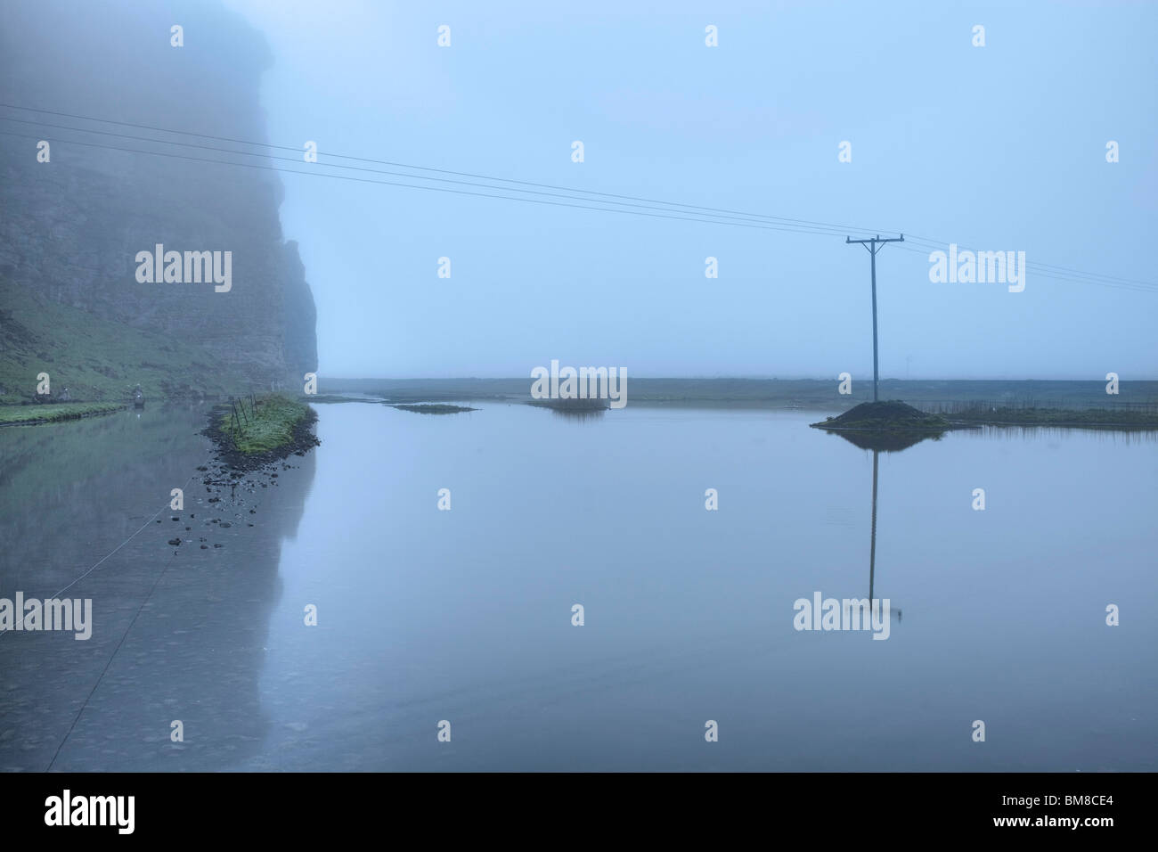 Les oiseaux dans le brouillard au petit étang à Skoganupur, Islande Banque D'Images