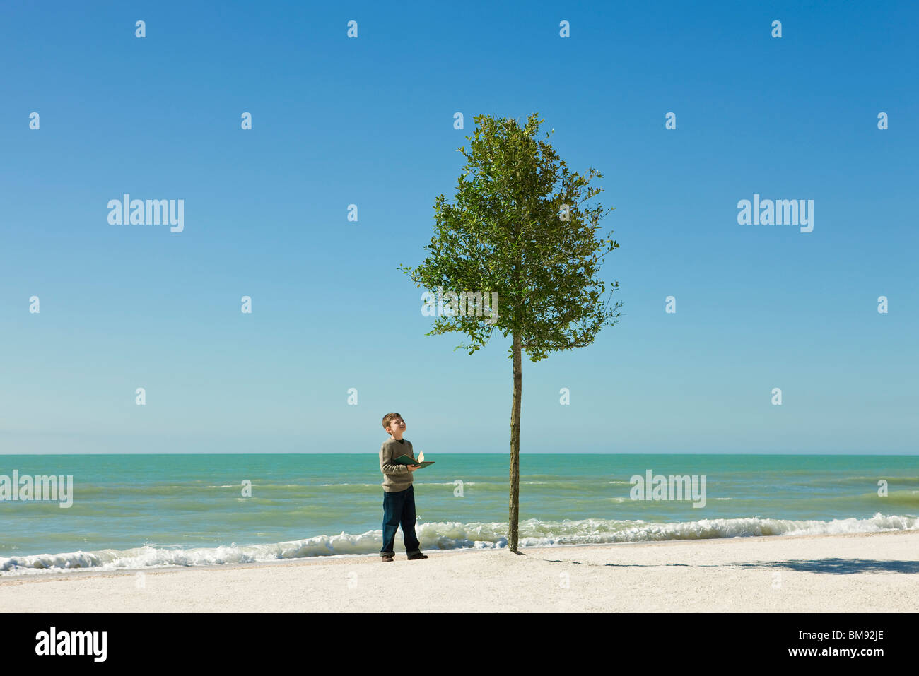 Boy standing on beach à livre ouvert dans les mains, admirant l'arboriculture dans le sable Banque D'Images