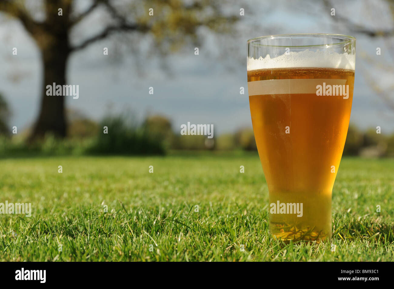 Un verre de bière photographié sur l'herbe dans un jardin Banque D'Images