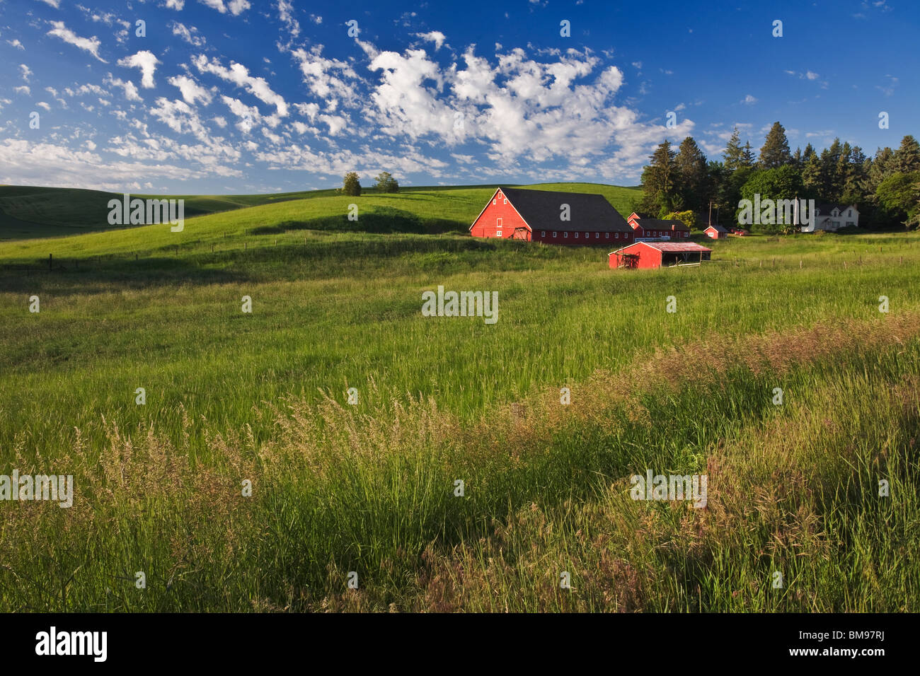 Whitman Comté, WA : grange rouge et les bâtiments de ferme Banque D'Images