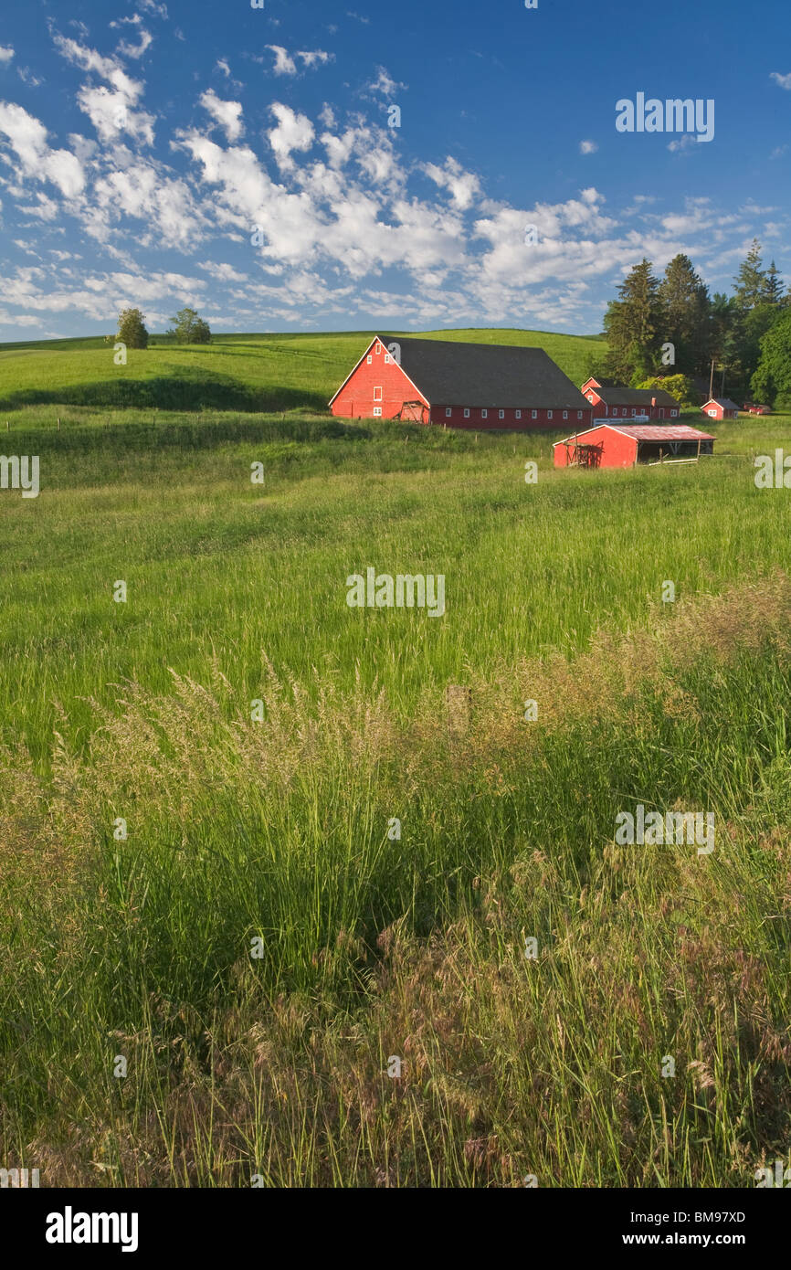 Whitman Comté, WA : grange rouge et les bâtiments de ferme Banque D'Images