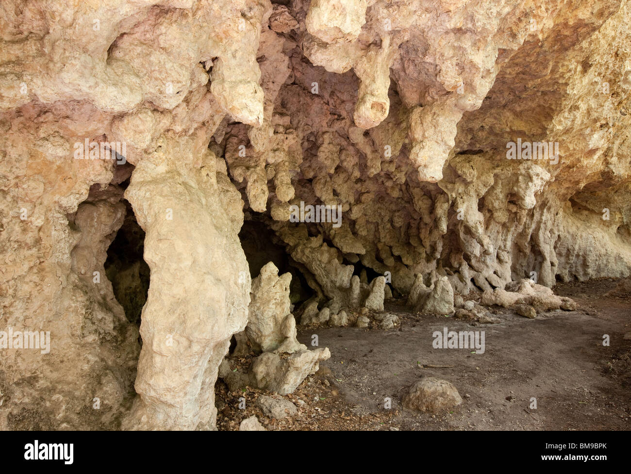 Grotto, McKittrick Canyon, Guadalupe Mountains National Park, Texas Banque D'Images