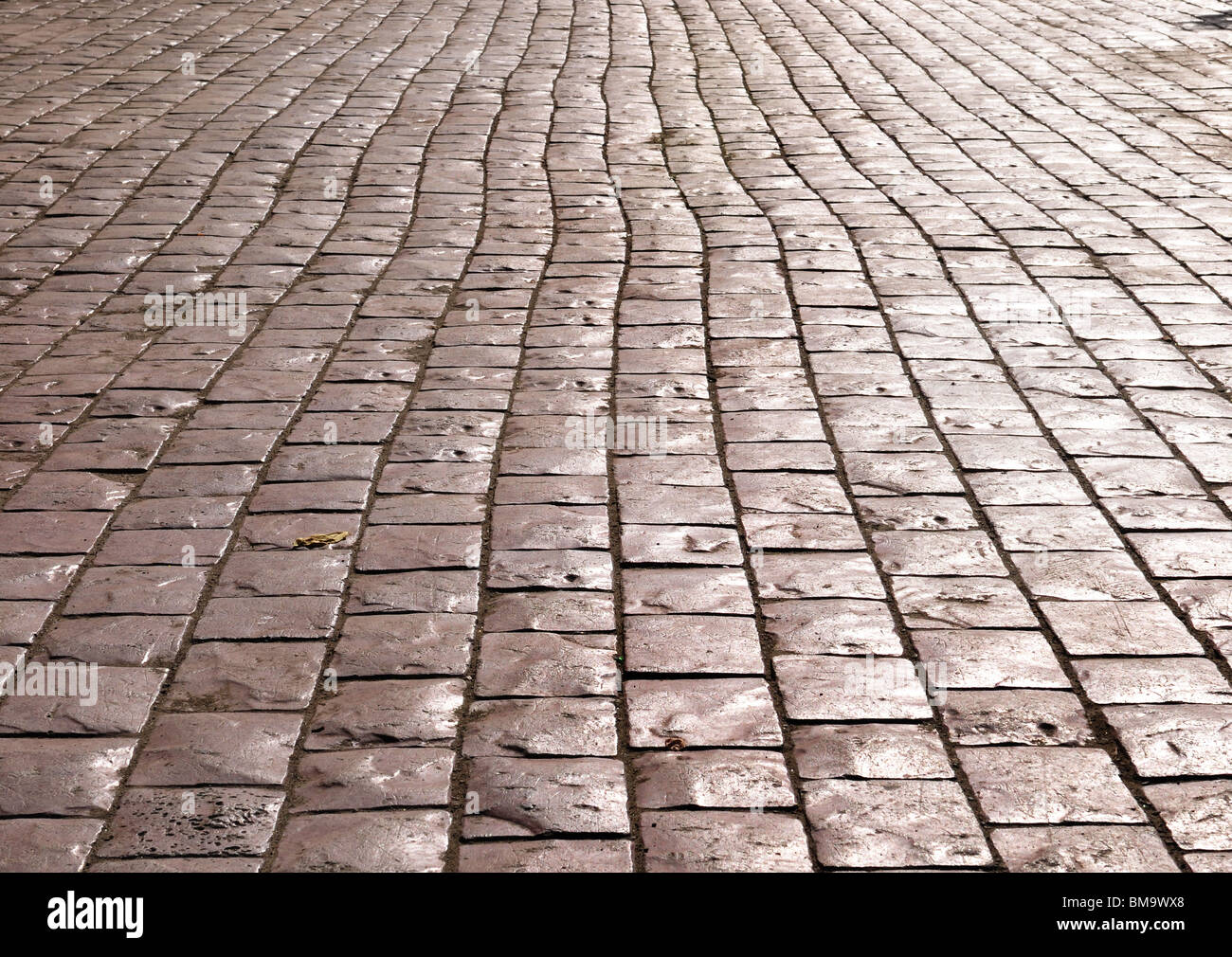 Rue pavée avec cobblestone Banque D'Images