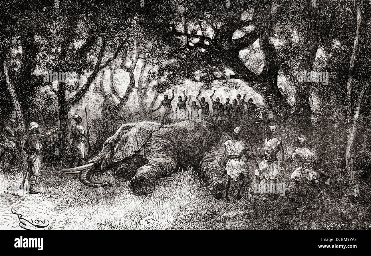 La chasse des éléphants en Afrique centrale à la fin du xixe siècle. Banque D'Images