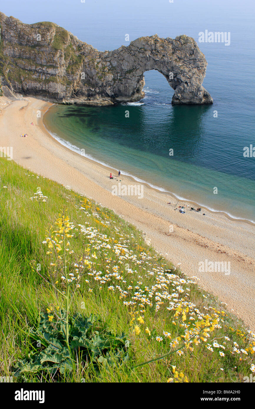 Durdle door arche calcaire naturelle sur la Côte Jurassique, près de West Dorset, Englang Lulworth en uk go Banque D'Images