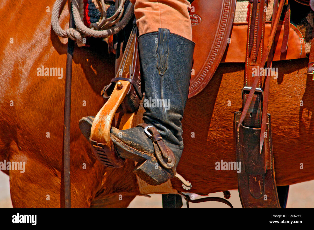 Horse Rider, Equitation. Banque D'Images