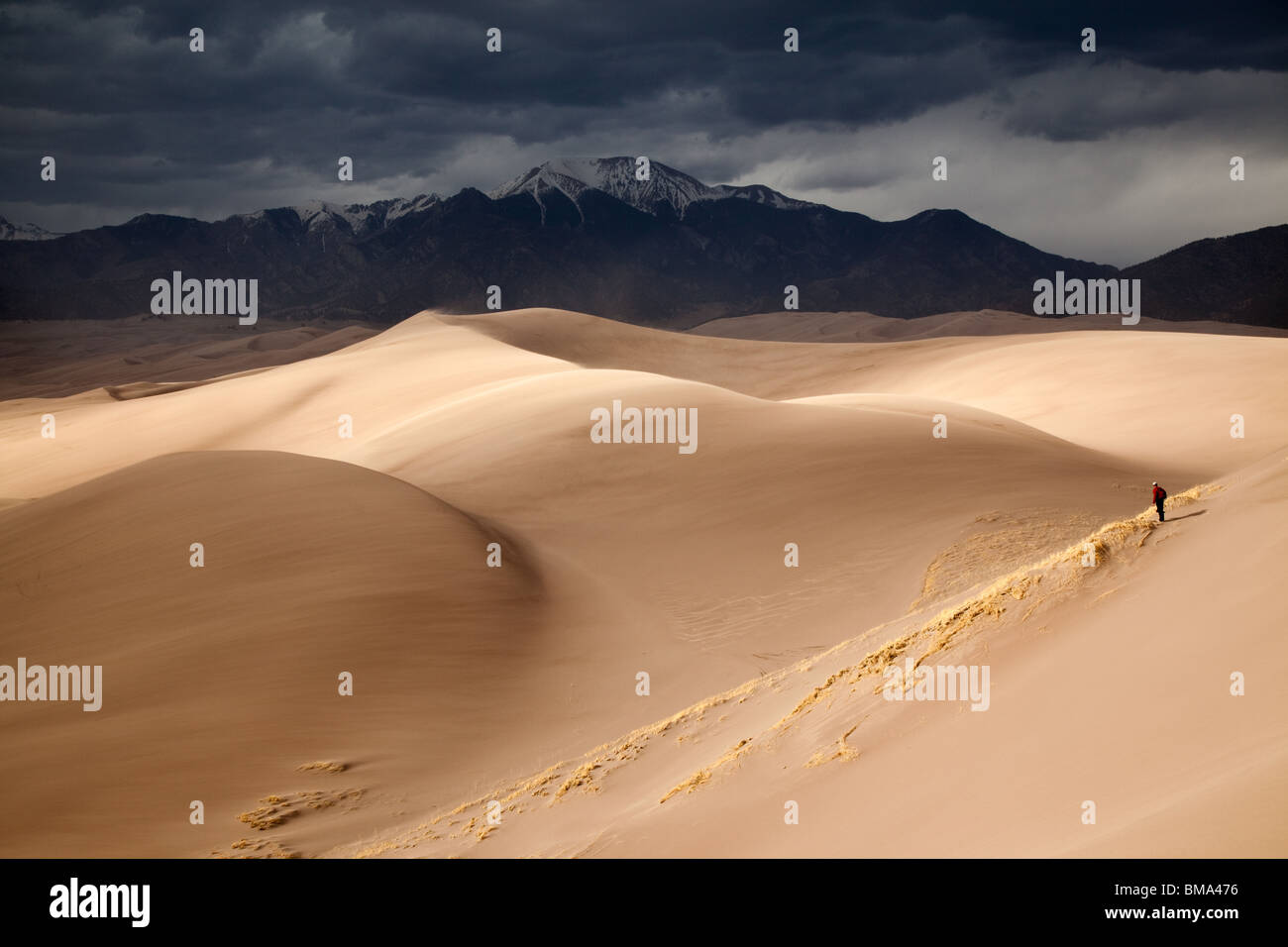 Dunefield et montagnes Sangre de Cristo, Great Sand Dunes National Park, Colorado Banque D'Images