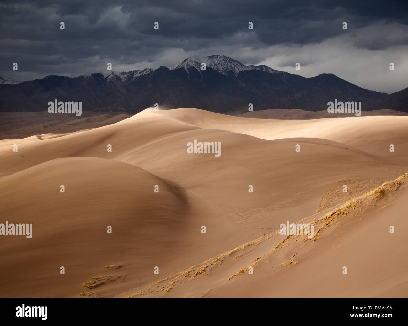 Dunefield et montagnes Sangre de Cristo, Great Sand Dunes National Park, Colorado Banque D'Images
