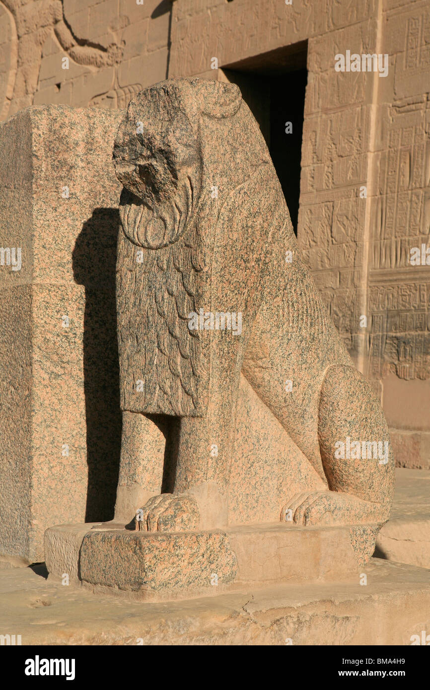 Statue de lion de granit à l'entrée du premier pylône du Temple d'Isis à Philae, bon maintenant sur l'Île Agilka en Egypte Banque D'Images
