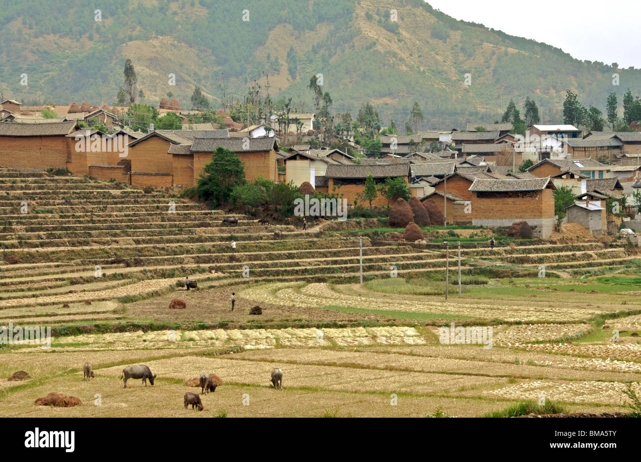 Village rural typique de la Chine Yunnan Banque D'Images