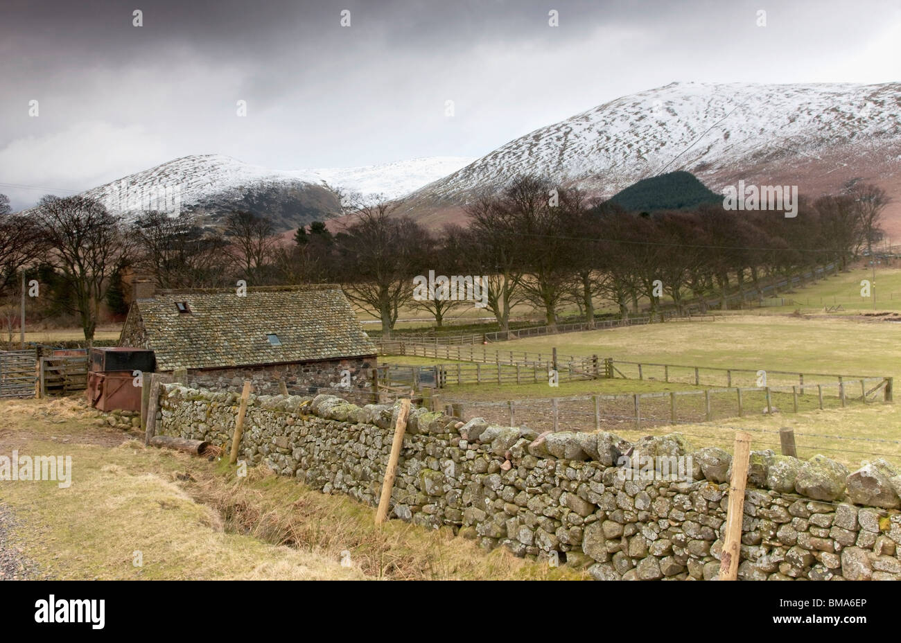 Scottish Borders, en Écosse ; une clôture en pierre et hangar avec une colline couverte de neige dans l'arrière-plan Banque D'Images