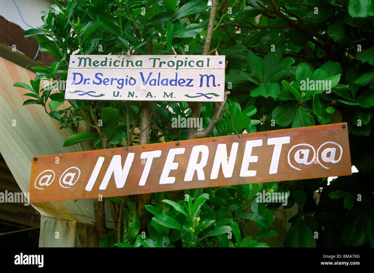 Signes avant-coureurs d'un café Internet et le bureau d'un médecin spécialisé dans le traitement des maladies tropicales au Mexique. Banque D'Images