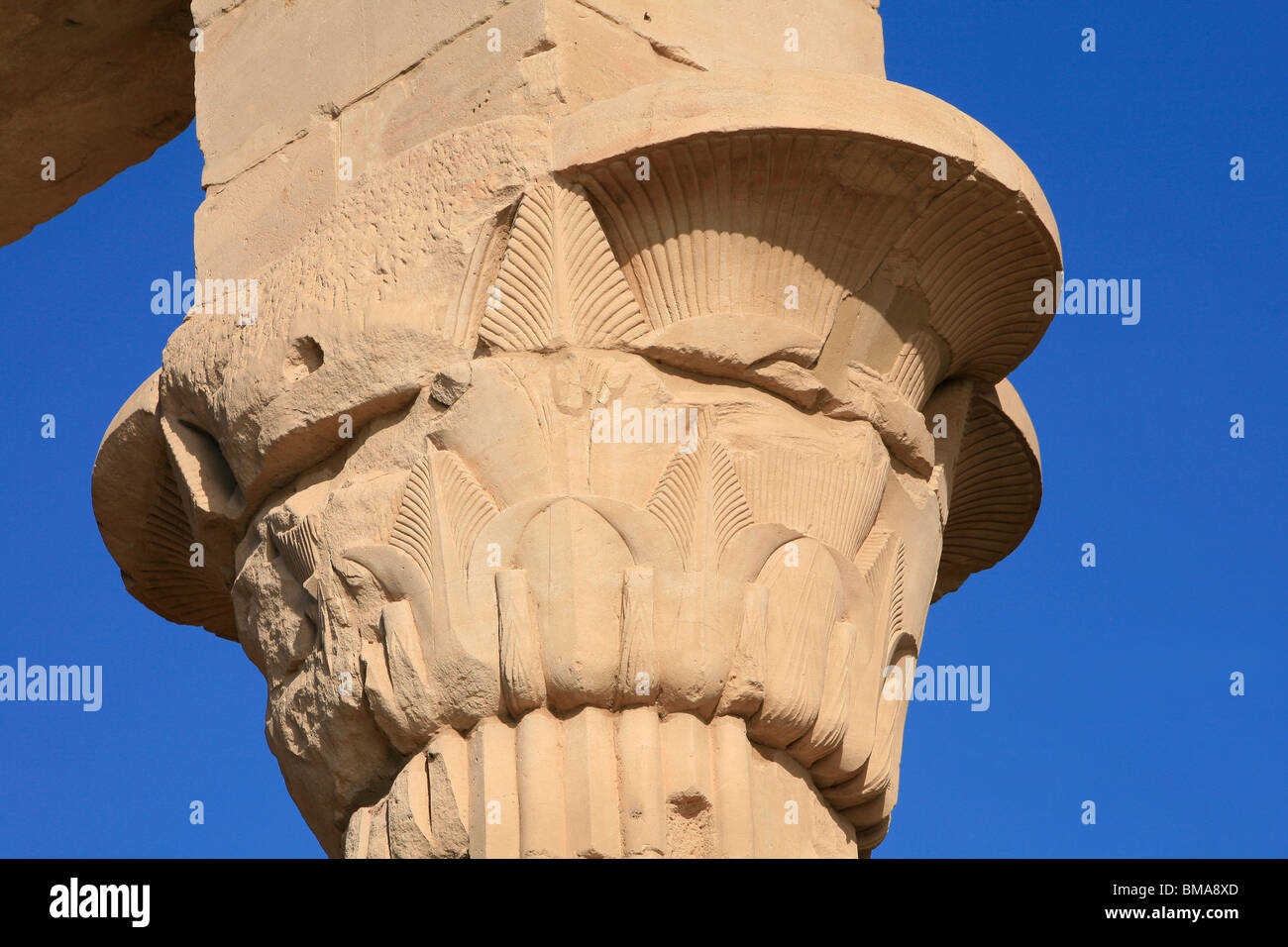 Détail d'un chapiteau de kiosque de Trajan au Temple de Philae sur l'Île Agilka en Haute Egypte Banque D'Images