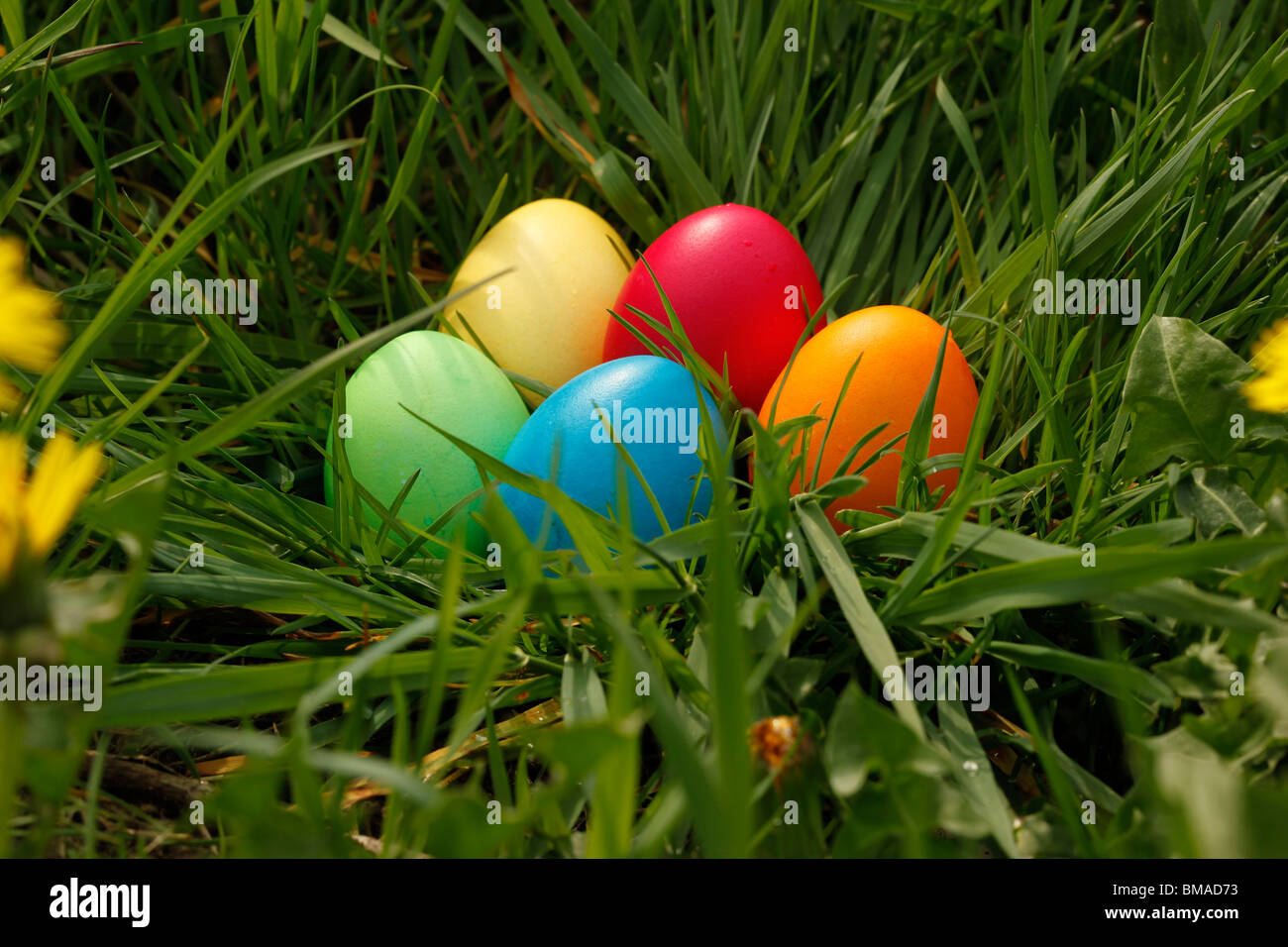 Oeufs de Pâques dans l'herbe Banque D'Images