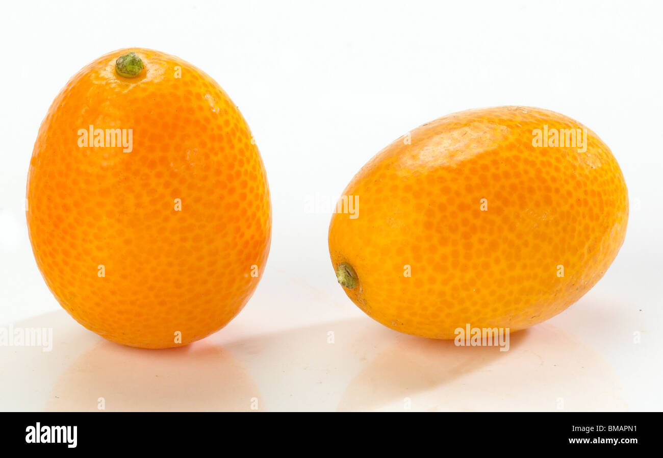 Le kumquat Banque D'Images