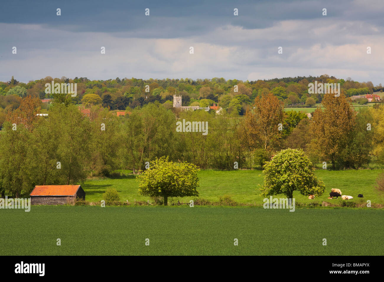 Grande-bretagne Angleterre Essex Dedham Vale Suffolk Frontières nord vers l'église paroissiale de St Mary de Stratford Banque D'Images