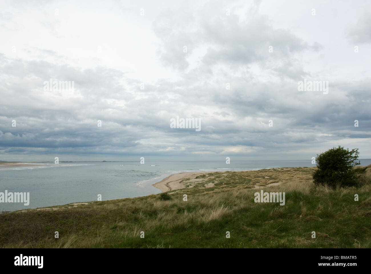 Budle Bay Beach, Northumberland, Angleterre. Banque D'Images