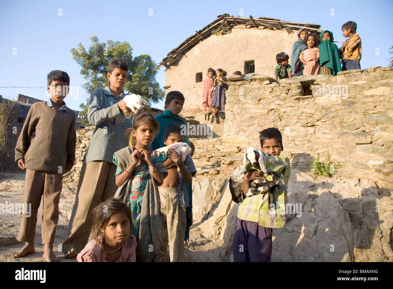 Les enfants à l'extérieur de l'activité rurale de cabane ; Bheel ; communauté tribale ; Dilwara Udaipur Rajasthan ; Inde ; Banque D'Images