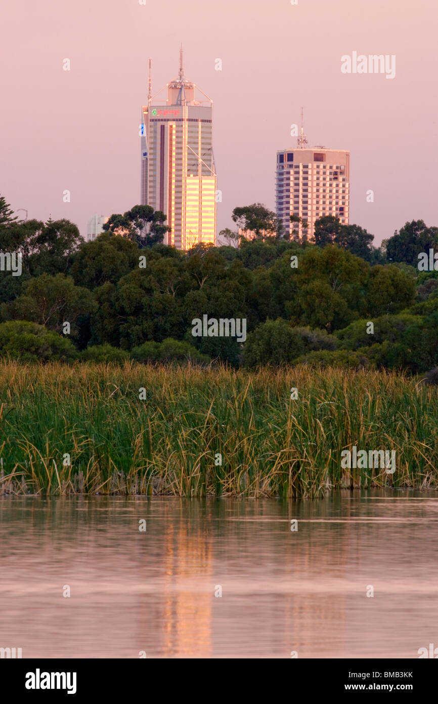 Les zones humides du centre-ville réserve naturelle avec des gratte-ciel dans la distance. Banque D'Images