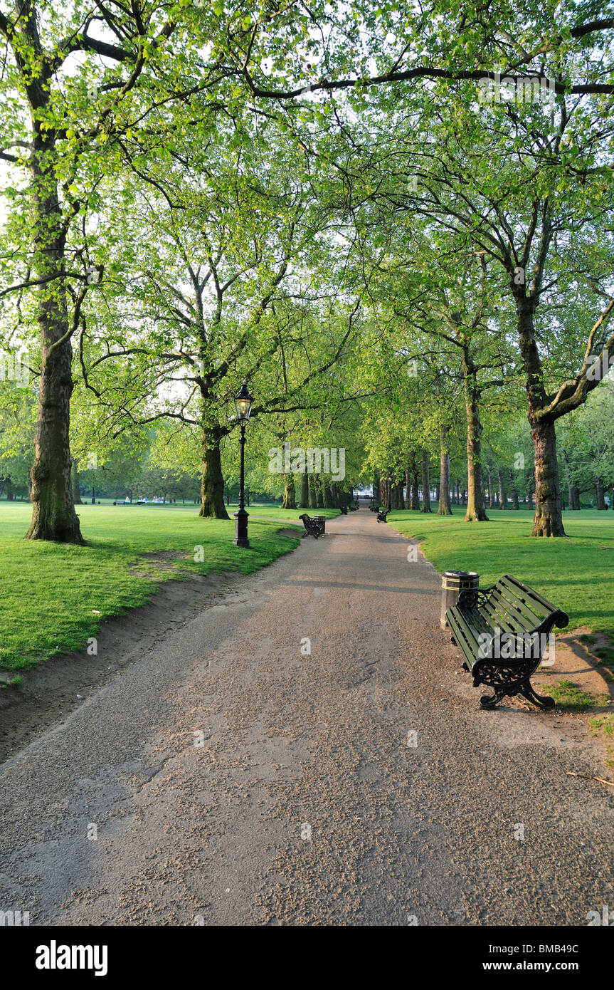 Green Park, Londres, Royaume-Uni Banque D'Images