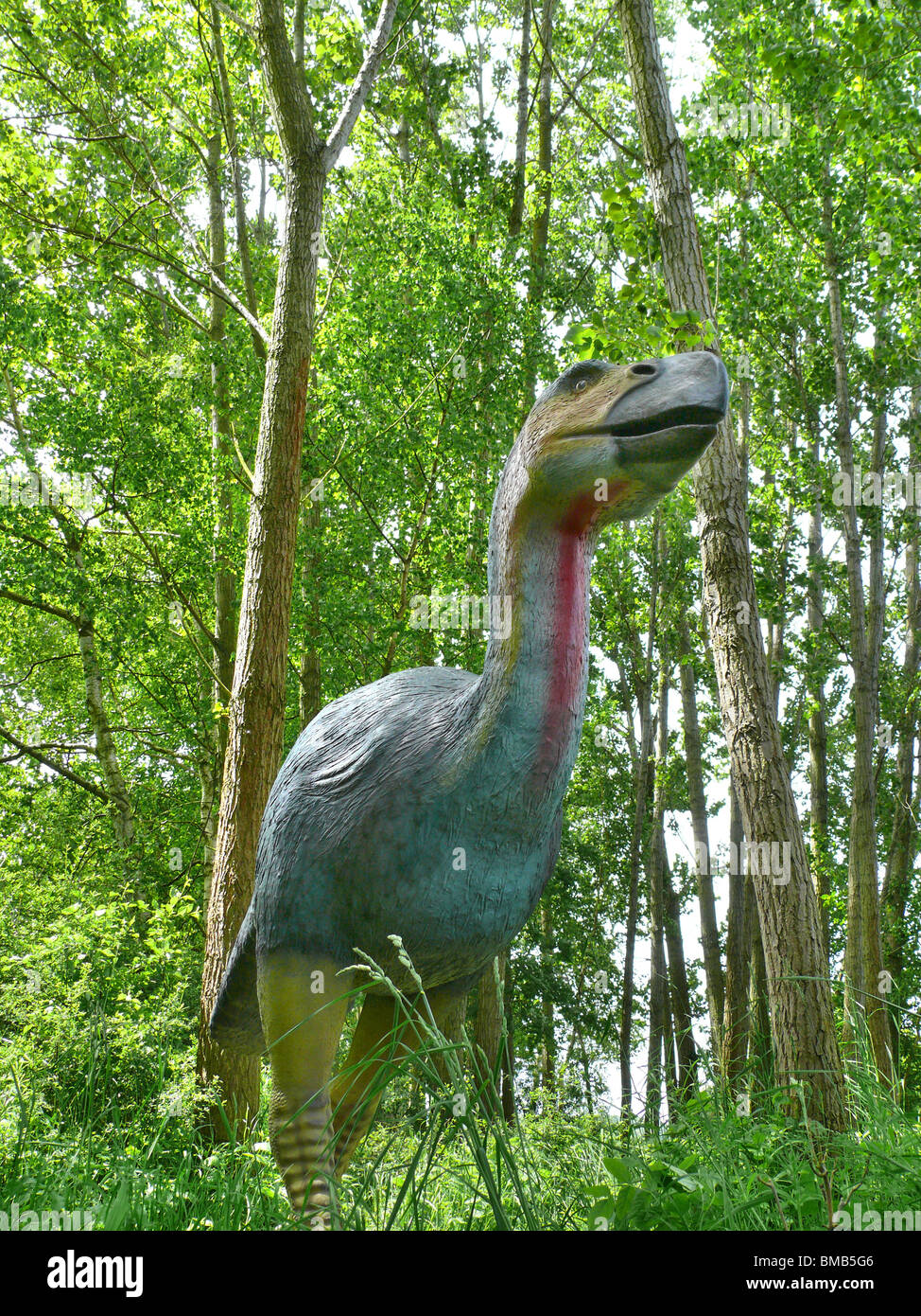 Diatryma (Diatryma), espèce de grand oiseau Banque D'Images