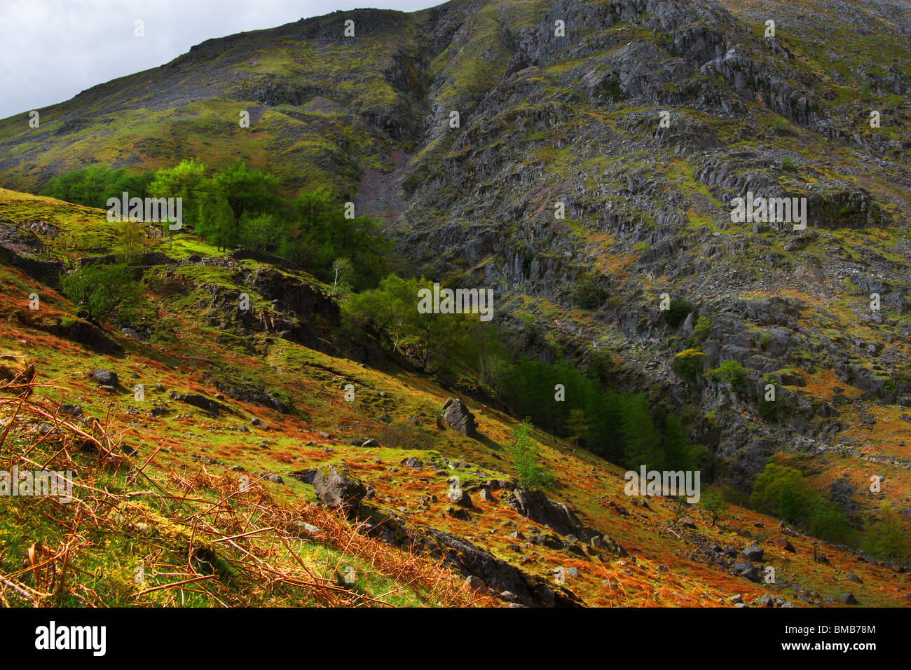 Brown Base vu de Greenhow Knott Banque D'Images