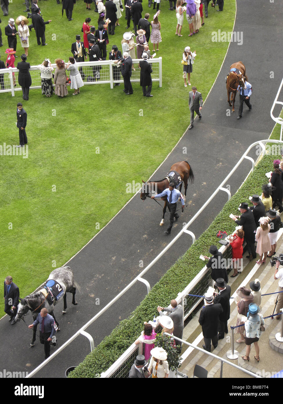 Royal Ascot,chevaux,course,facile. Banque D'Images