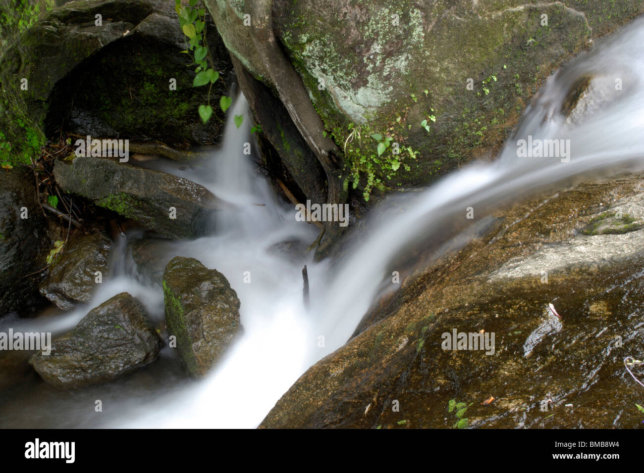 Olakkayam elanjippara de petit ruisseau Cascade de thrissur, Kerala, Inde, Asie Banque D'Images