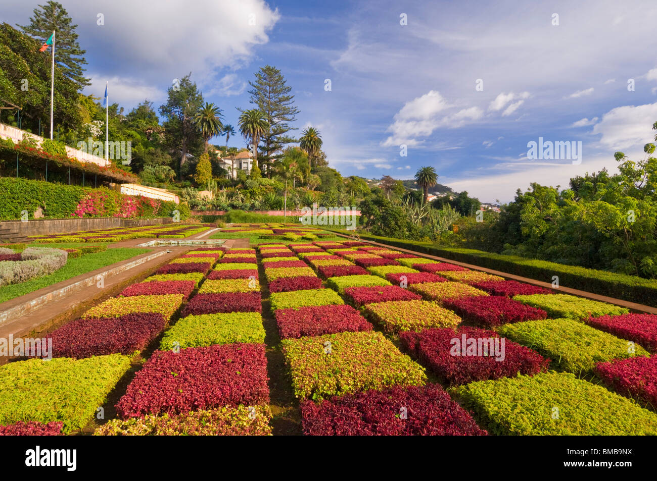 Madeira Funchal Madeira Jardins botaniques, Jardim Botanico, au-dessus de la capitale de funchal, Madère, Portugal, UE, Europe Banque D'Images