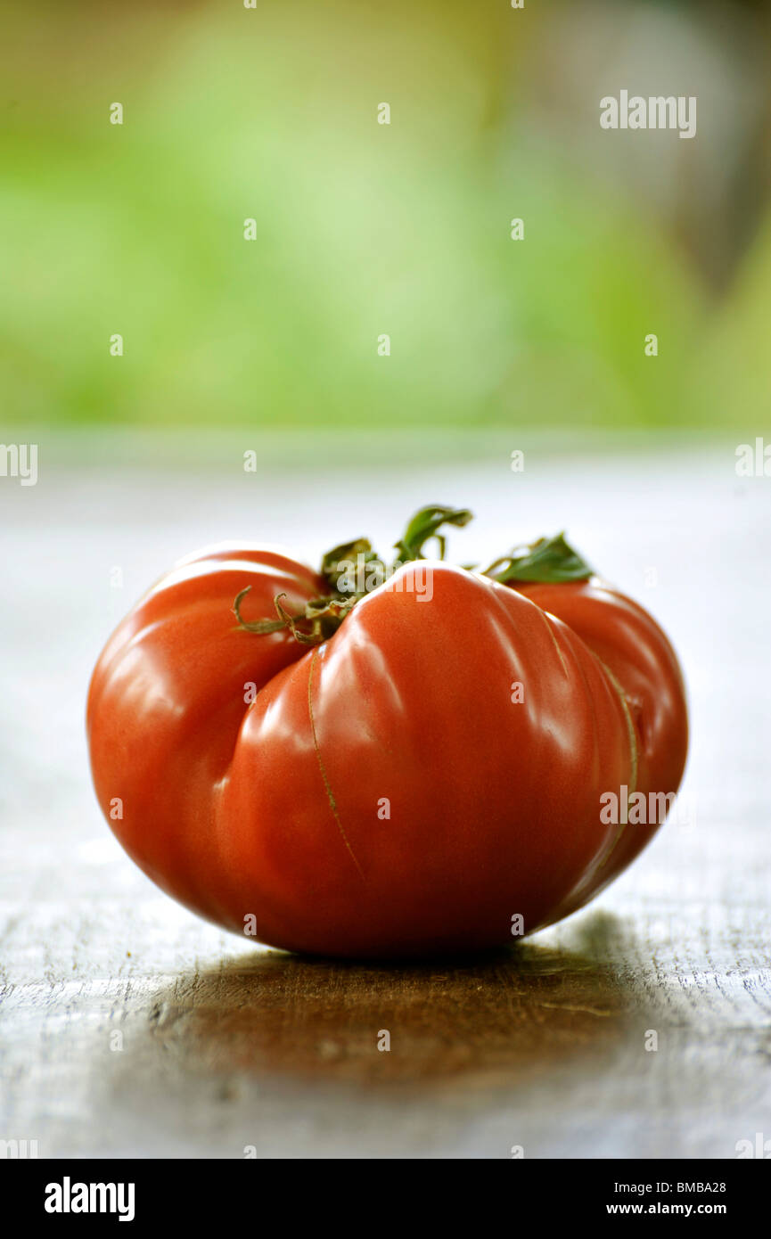 Un pavé de boeuf tomate Banque D'Images