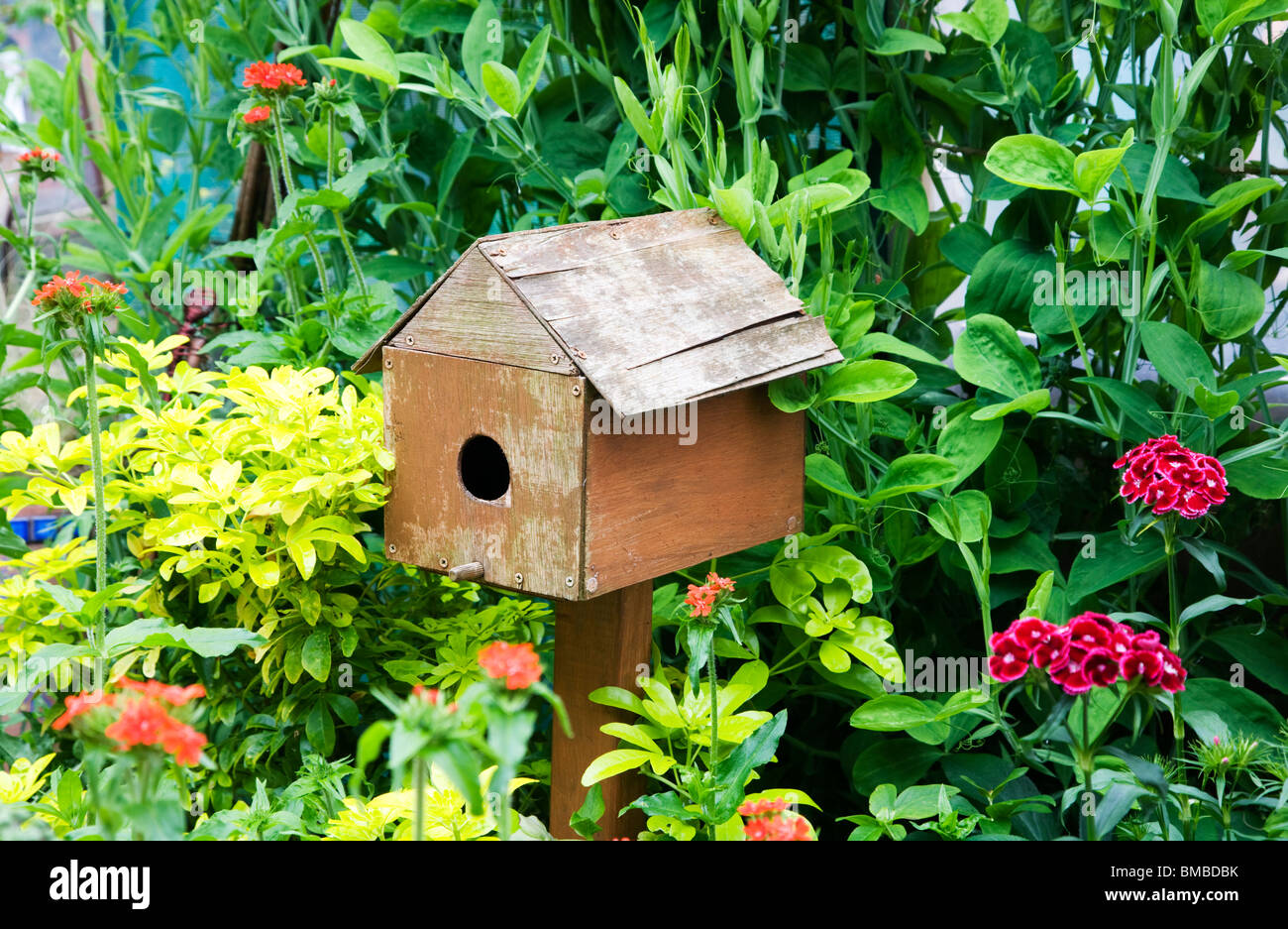 Nichoir en bois dans les jardins des brindilles à Swindon, Wiltshire, England, UK Banque D'Images