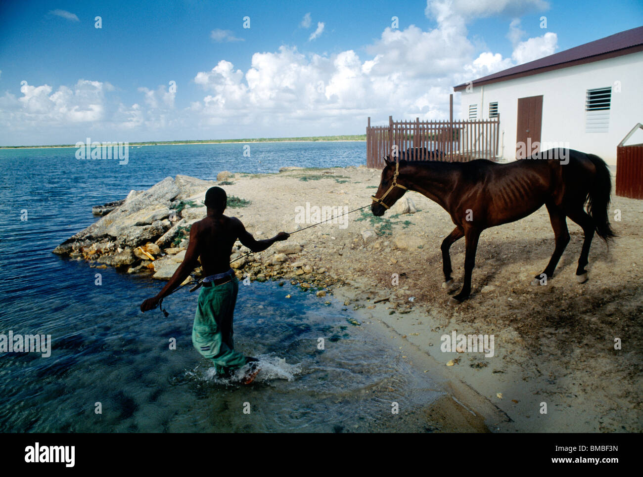 Barbuda Codrington conduisant l'homme à la mer Banque D'Images
