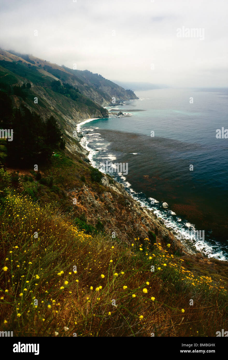 Big Sur, Californie Banque D'Images