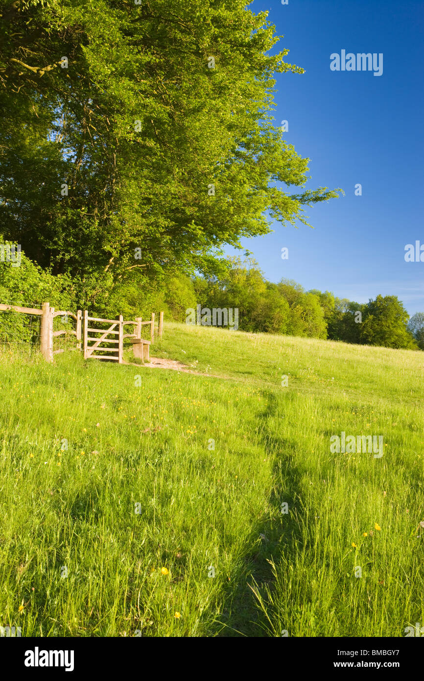 Chemin et gate dans la zone de forêts. Ranmore Common, North Downs, Surrey, UK Banque D'Images