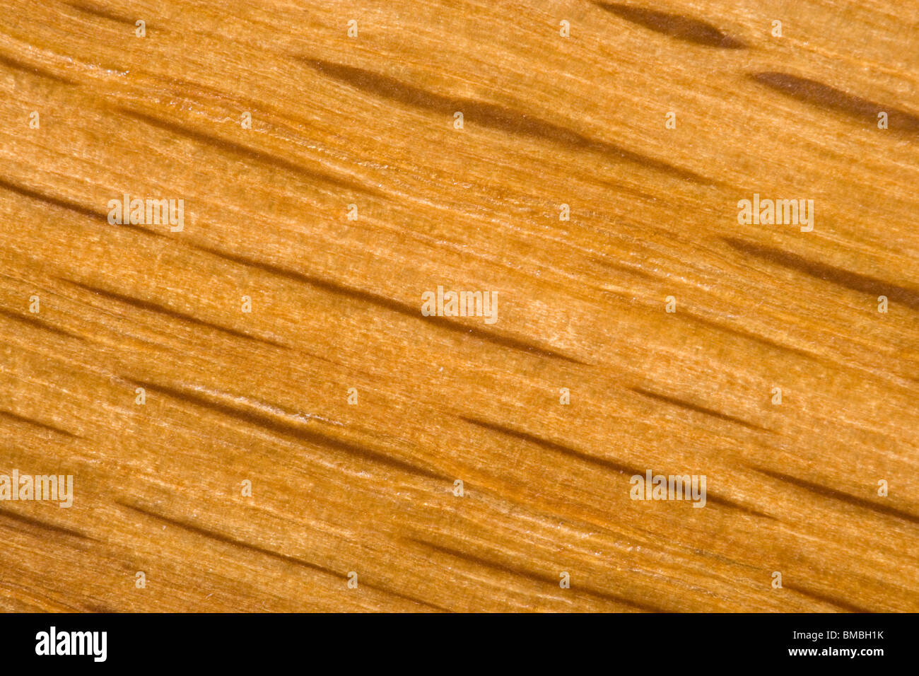 Bois de chêne à grains extreme close up. Banque D'Images
