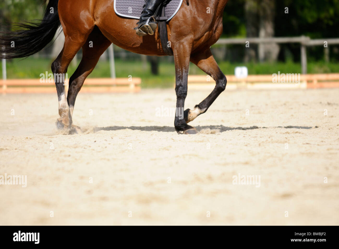 Stock photo d'un cheval et cavalier dans un concours de dressage. Banque D'Images