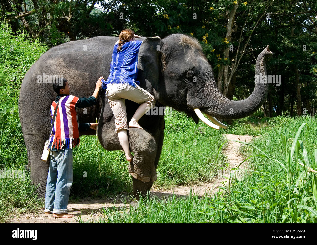 Un éléphant Woman climbing to ride-nue retour à Chiang Mai, dans le nord de la Thaïlande Banque D'Images