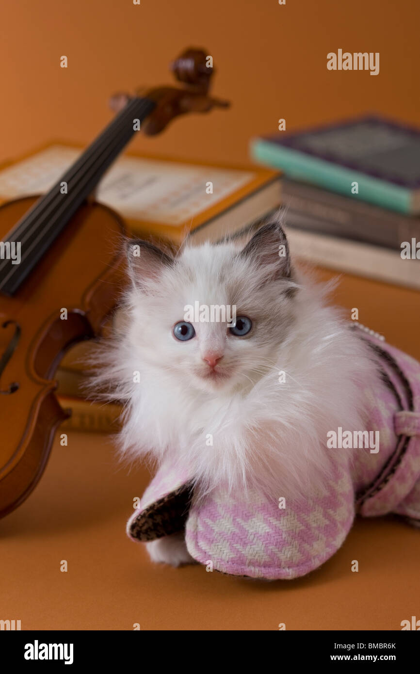 Poupée de chiffon chaton et Art Banque D'Images