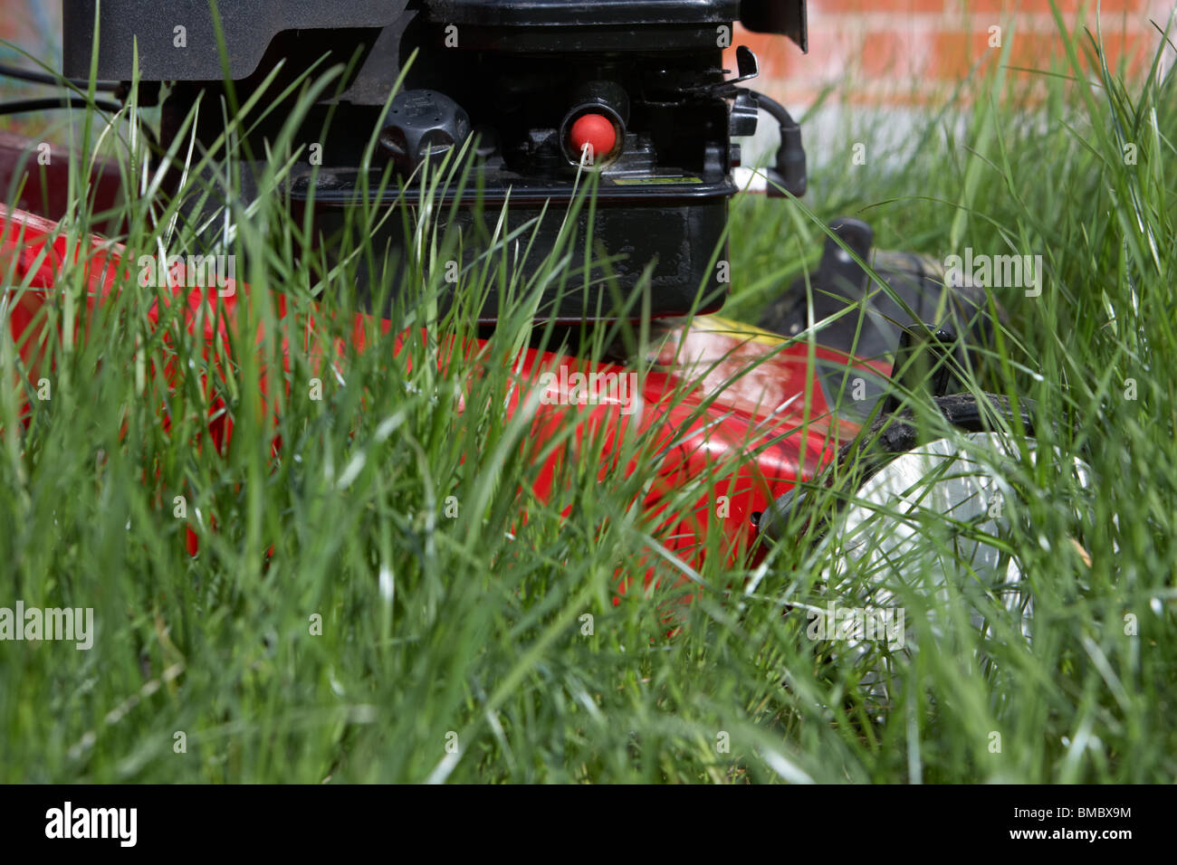 Tondeuse à essence profonde de la tonte d'herbe envahi par la longue dans un jardin au Royaume-Uni Banque D'Images