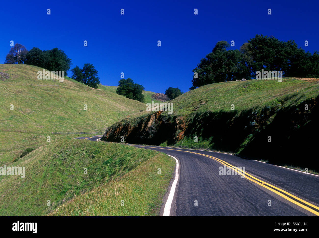 Deux lane Road, Mount Tamalpais State Park, comté de Marin, en Californie, aux États-Unis, en Amérique du Nord Banque D'Images