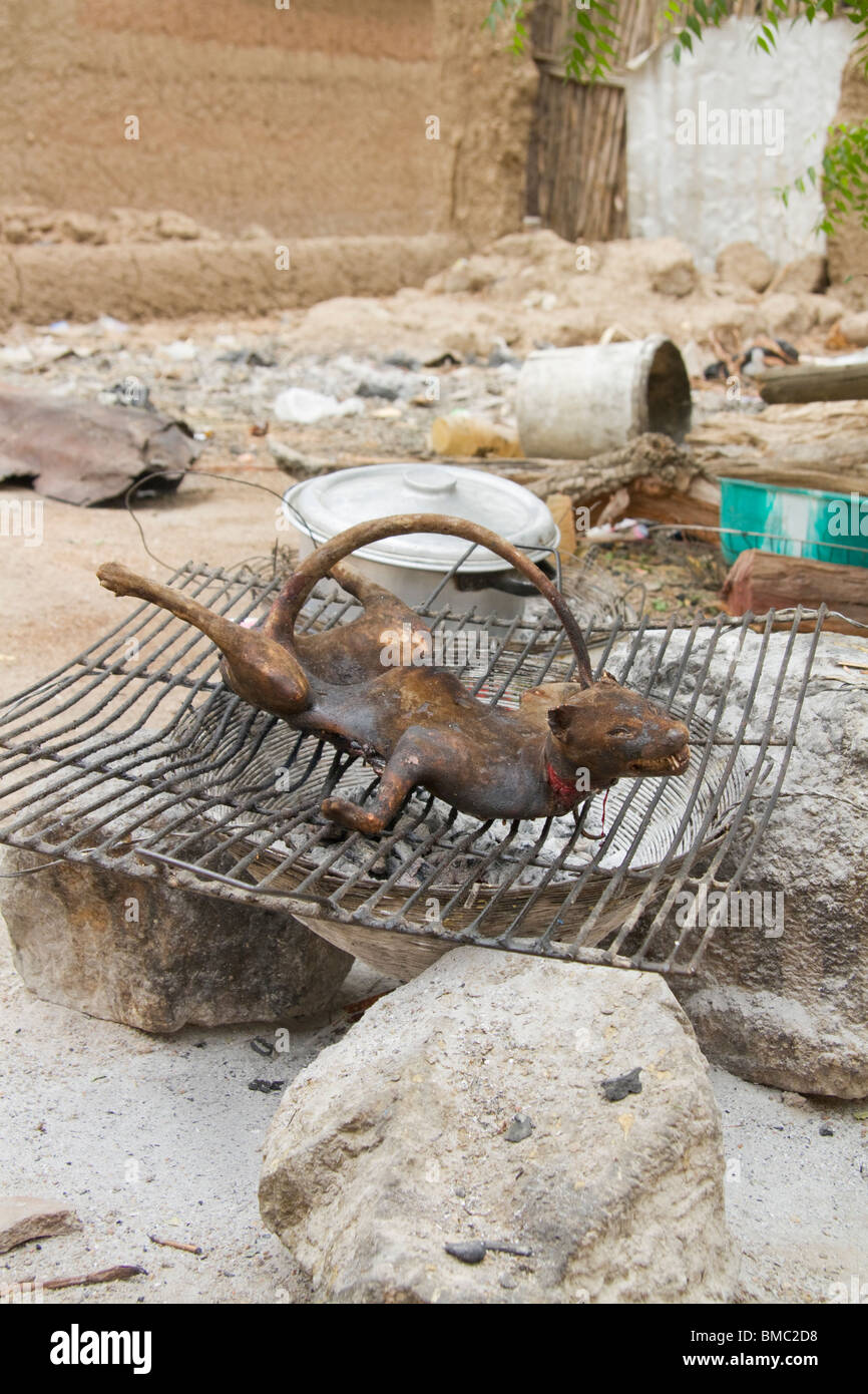 Un gibier (mongoose) cuites dans un village camerounais. Banque D'Images