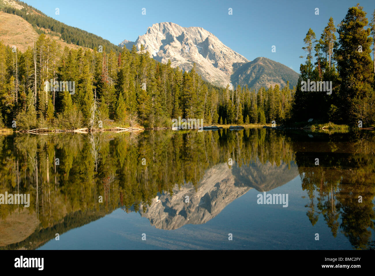 Parc National de Grand Teton Wilderness Reflective Banque D'Images